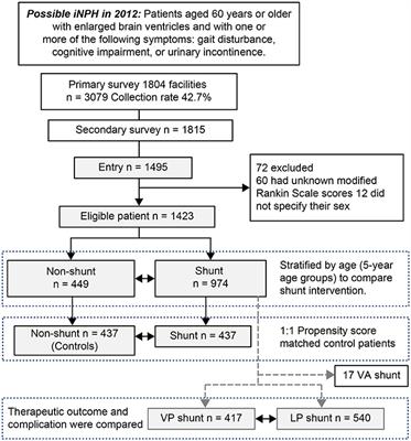 Shunt Intervention for Possible Idiopathic Normal Pressure Hydrocephalus Improves Patient Outcomes: A Nationwide Hospital-Based Survey in Japan